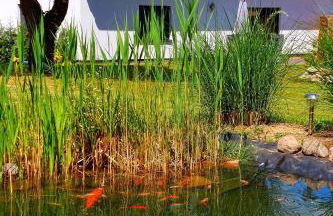 Ferienhaus Britta Kietzmann - Foto 24