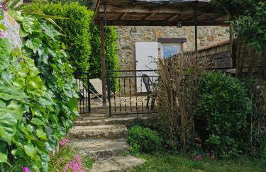 Domaine L'Amourie Sud Ardèche - Foto 10