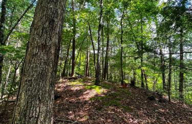 Tiny House, WIFI,Hot tub,Secluded - Foto 24