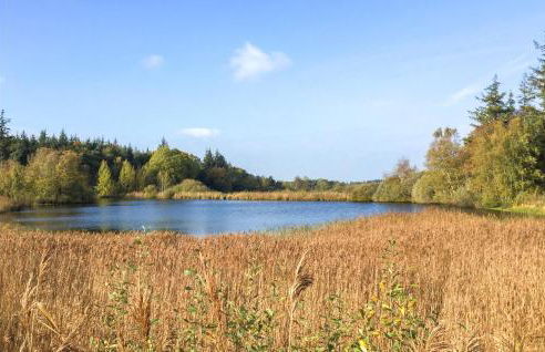 Cozy Home In Langenhorn With Wifi - Foto 25