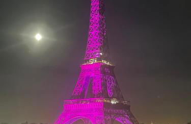 View on Eiffel Tower Seine and Main Monuments - Photo 21