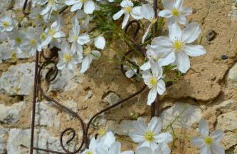 Gîte de charme proche du Zoo Beauval et Châteaux - Photo 58