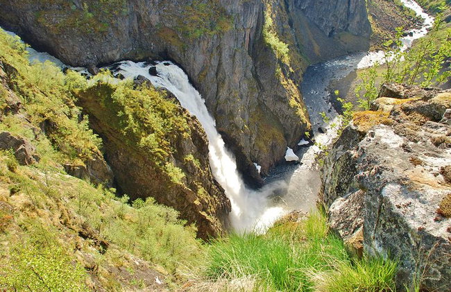 AMAZING HARDANGER FJORD: Private guided round trip from Bergen, 10 hours - Photo 12