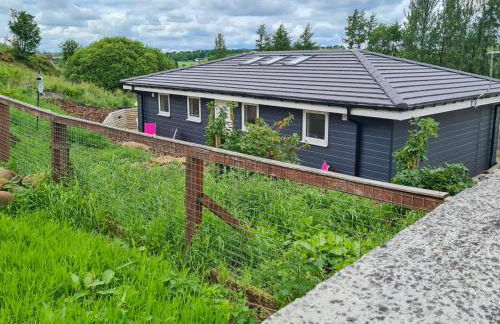 Craigpark Lodge - Photo 21