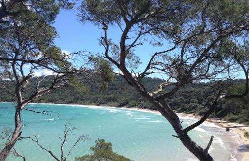 La Rocaille - Foto 33