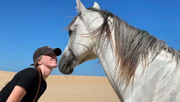 Beach Horse Ride - Foto 2