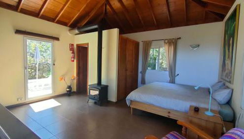 Iraña del bosque - Foto 2