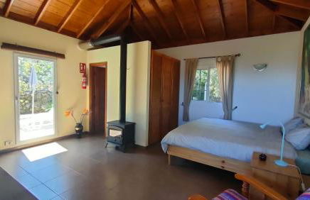 Iraña del bosque - Foto 2