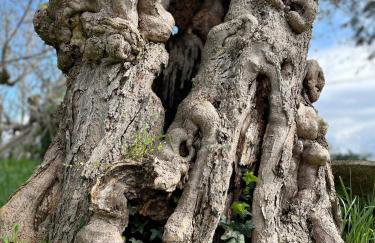 Casale Kintsugi - Foto 34