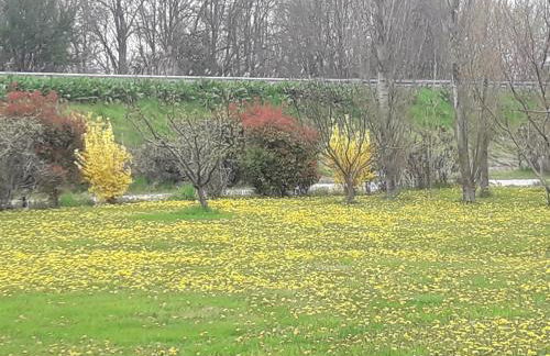 Agriturismo Al Navile - Foto 7