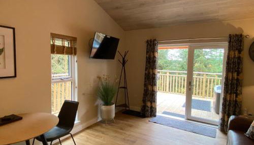 Holly Berry Lodge with Hot Tub - Foto 4