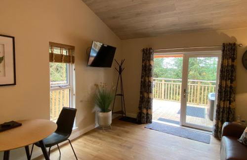 Holly Berry Lodge with Hot Tub - Foto 4