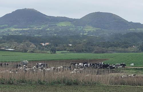 Casa das Azorinas - Foto 34