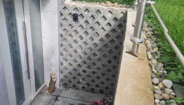 Schöne Wohnung mit Garten nahe schweizer Grenze - Foto 3