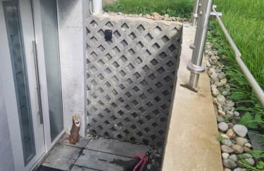 Schöne Wohnung mit Garten nahe schweizer Grenze - Foto 3