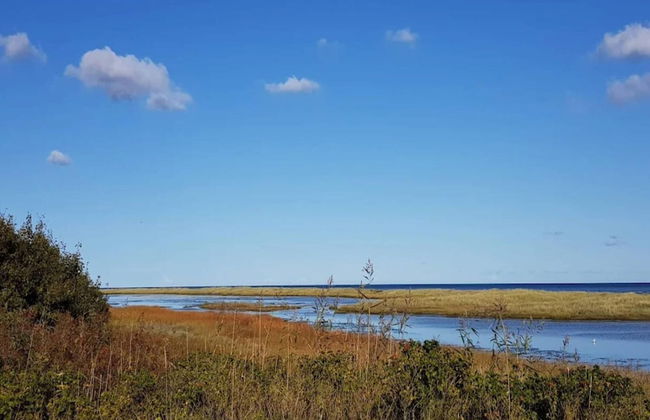 6 Person Holiday Home in Hals - Foto 34