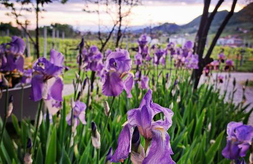 Casadesergio - Photo 62