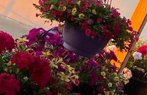 Heike & Günther Ferienwohnung - Foto 17