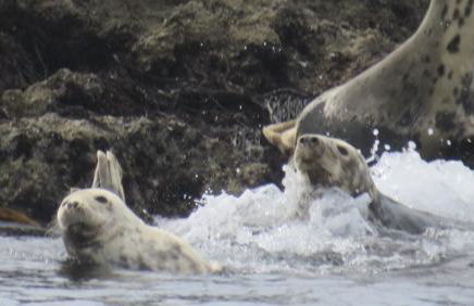 Appartement L'Embarcadère - Photo 71