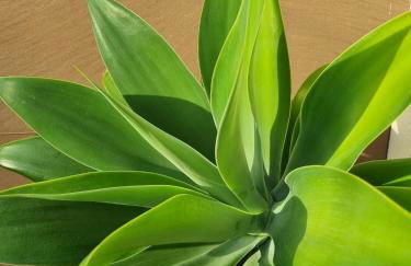 Adosadito Playa Oliva - Photo 28