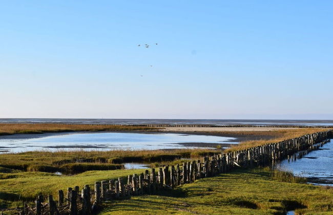 Beach Whispers Modern Retreat - Foto 13