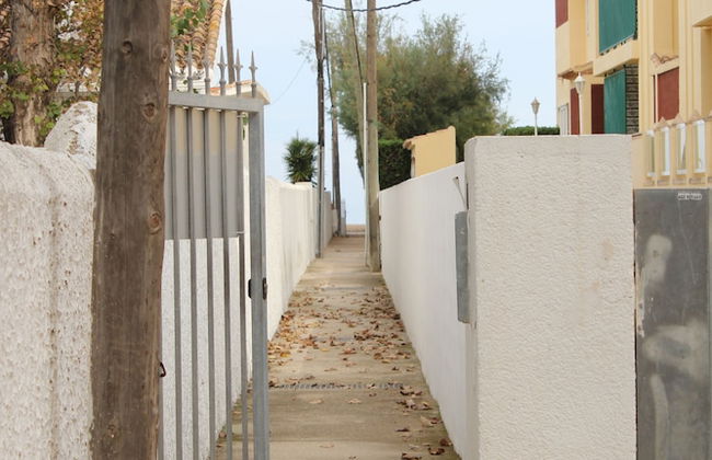 Trompeta Azul - Photo 74