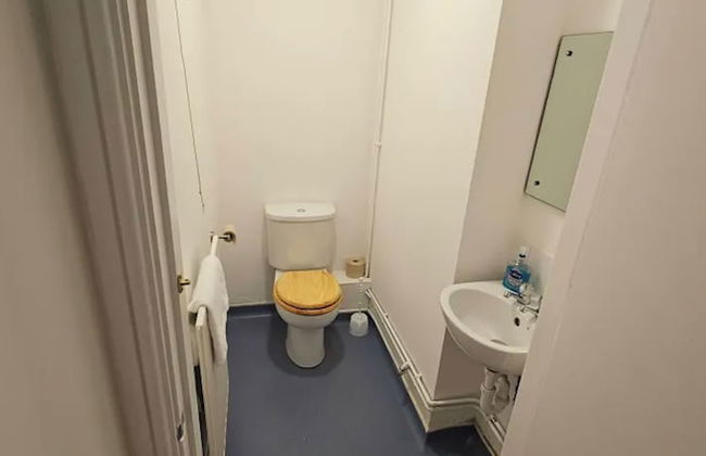 Plas Bellin Cottages - Foto 29