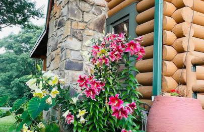 Smoky Mountains Blue Ridge Cabin Tennessee - Foto 12