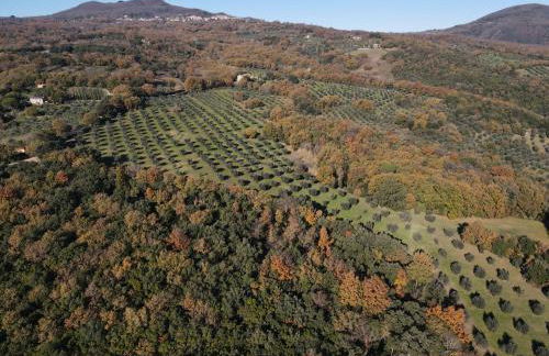 Agriturismo Campo al Crognolo - Foto 31