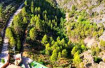 Casas Rurales Venta Ticiano - Foto 48