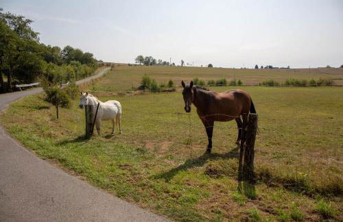 La Croix Bala - Foto 48