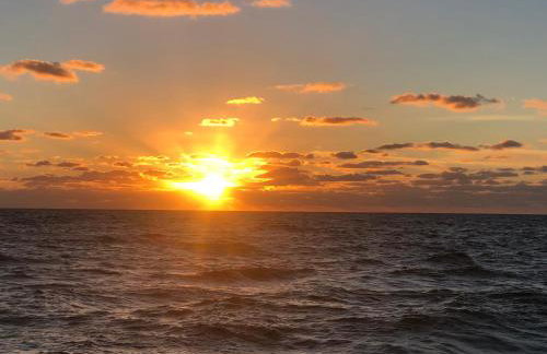 Purely Pompano, Pool, Water front, Paddleboard, Beach, 5 bedroom 3 bath - Photo 59