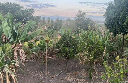 Linda casa em condomínio fechado - Foto 12