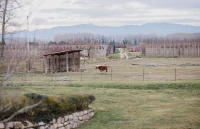 Cuna House - Foto 45