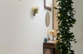 Kasa Magnisi - Foto 10