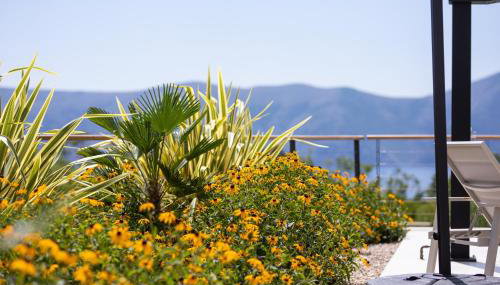 Villa Olive Garden - Photo 5, Garden, Garden view