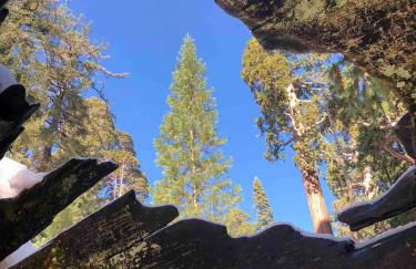 Delilah Ridge Winery Mid Mod Guesthouse - Foto 53