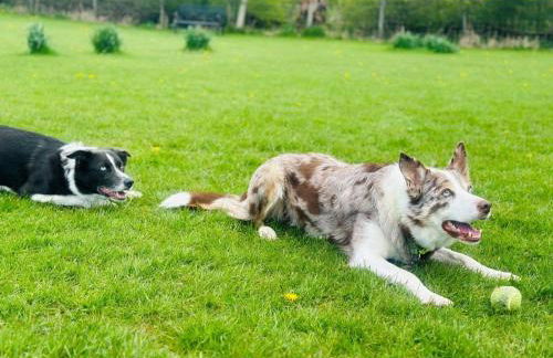 3 Bed in Carnforth oc-90531 - Photo 29