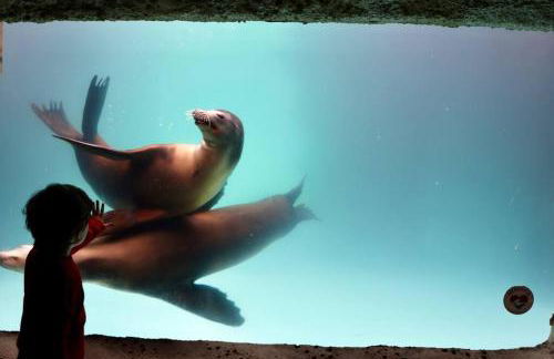 North Fork House for Rent - Photo 60