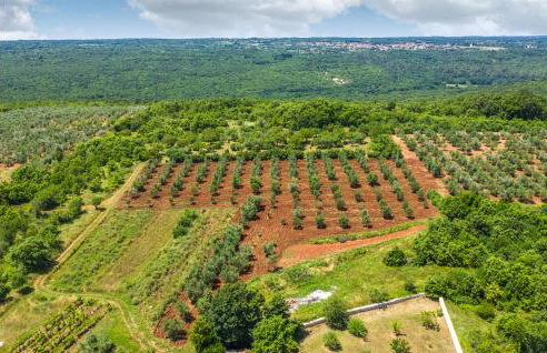 4 Bedroom Lovely Home In Veliki Vareski - Foto 21