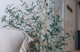 Villa et appartement à Goudargues - Foto 58