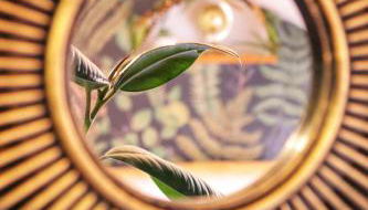 Studio AUREA - Foto 3