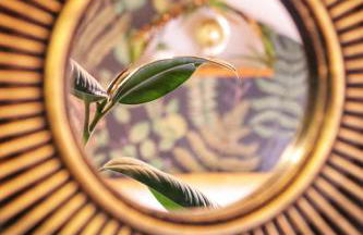 Studio AUREA - Foto 3