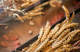 Casa Rural Aguas Frias II - Foto 51