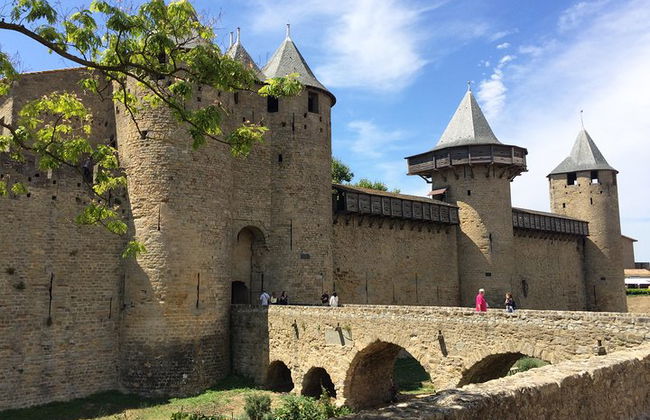 Cité de Carcassonne und private Weinprobe von Toulouse - Foto 9