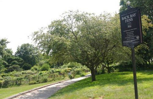 1BR Apartment in Bostons Fenway Neighborhood - Foto 16