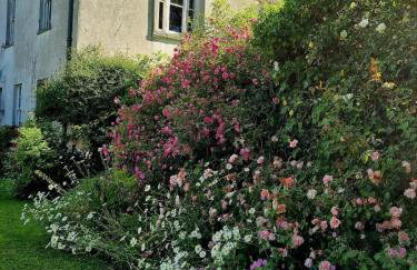 Elegant Pembrokeshire Country House - Sleeps 17 - Foto 53