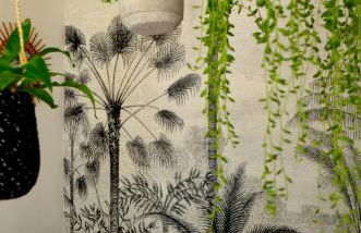 Mas Mialou - Foto 14