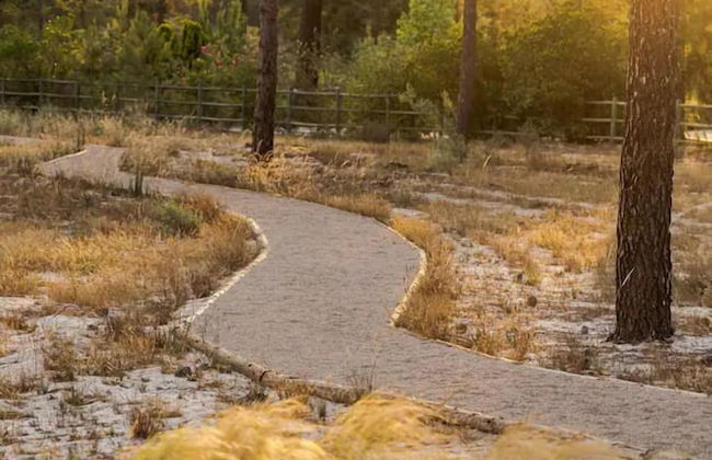 Herdade de Montalvo - Foto 48