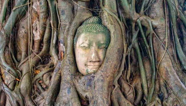 Escursione alle rovine di Ayutthaya - Foto 3